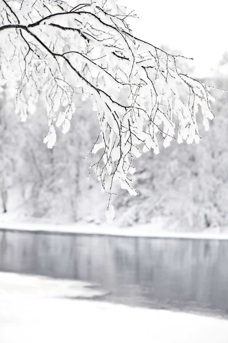 NORSK VINTER: Vinterføret kommer ofte overraskende på. Med en god snøfreser sparer du tid, unngår belastningsskader, samtidig som du får kastet snøen godt unna.