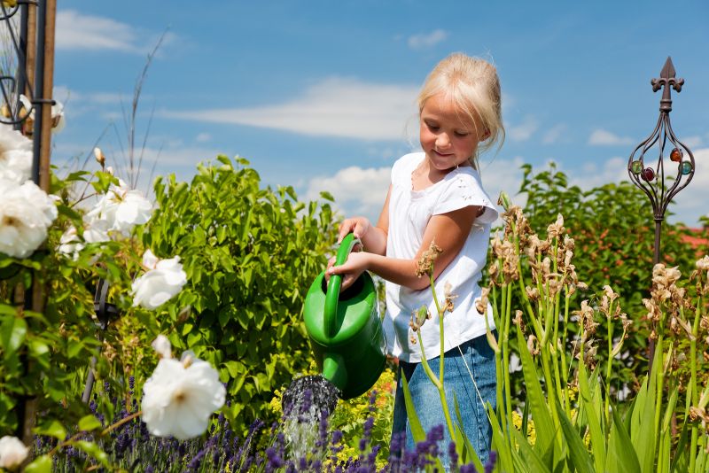 Få en grønn og frodig hage med riktig vanningsutstyr i tørre tider.