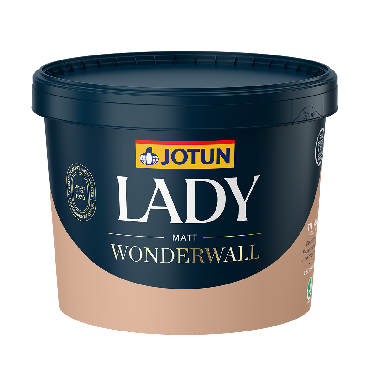 LADY Wonderwall
